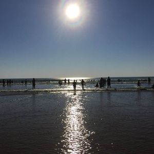 Meet your Posher, Frankie